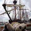 pl-2023-bateaux-177-