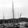 pl-2023-bateaux-135-