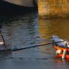 pl-2023-bateaux-41-