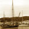 pl-2023-bateaux-131-