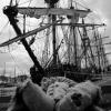 pl-2023-bateaux-179-