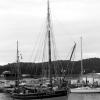pl-2023-bateaux-132-