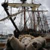 pl-2023-bateaux-178-