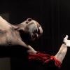 pl-2013-samedi-352-