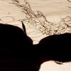 pl-2013-samedi-393-