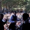 pl2013-dimanche-191-