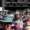 pl2013-dimanche-229-