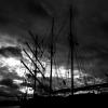 bateau-pl-2017-22-