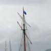 paimpol-2009-bateaux-403