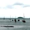 paimpol-2009-bateaux-100