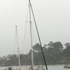 paimpol-2009-bateaux-258