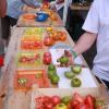 pl-2011-4-30-