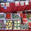 pl-2011-4-31-