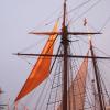pl-2011-bateaux-9-