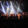 pl-2011-3-81-