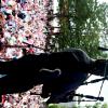 pl-2015-dimanche-12-