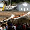pl-2015-bateaux-6-