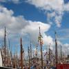pl-2015-samedi-269-