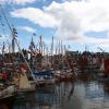 pl-2015-samedi-273-