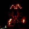 pat-viv-2008_097