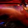 bal_hiver_2019-79-