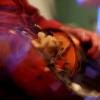 bal_hiver_2019-80-