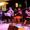 bal_folk-2016-25-