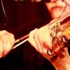 elv-nieppe-03-2015-54-