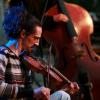 folk__la_ferme-32