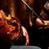 nuit-trad-troyes-2010-1121