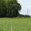 fusees-152-
