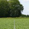 fusees-151-