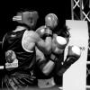 roc-2019-05-43-