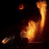 beltaine-l_arche_en_sel-40-