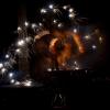 beltaine-l_arche_en_sel-146-