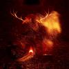 beltaine-l_arche_en_sel-55-