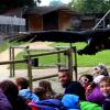 les_aigles_de-ct-47-