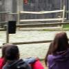 les_aigles_de-ct-5-