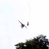 les_aigles_de-ct-39-