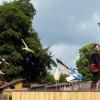 les_aigles_de-ct-64-
