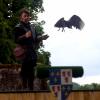 les_aigles_de-ct-43-