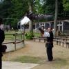 les_aigles_de-ct-27-