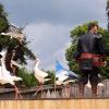 les_aigles_de-ct-63-