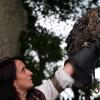les_aigles_de-ct-35-