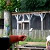 les_aigles_de-ct-23-
