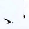 les_aigles_de-ct-38-