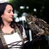 les_aigles_de-ct-33-