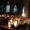 jdlf-2009-14-085