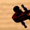 jdlf-2008-_2630