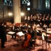 jdlf-2009-14-105